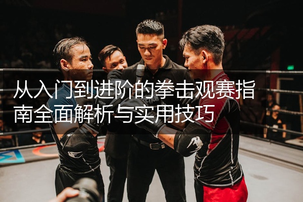从入门到进阶的拳击观赛指南全面解析与实用技巧
